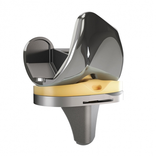 DJO Surgical EMPOWR PS Knee