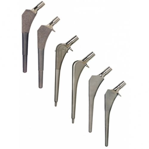 Foundation Hip System