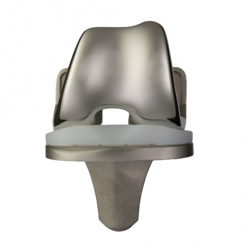 Foundation Knee System