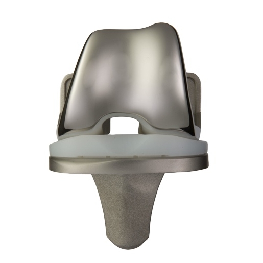 Foundation Knee System